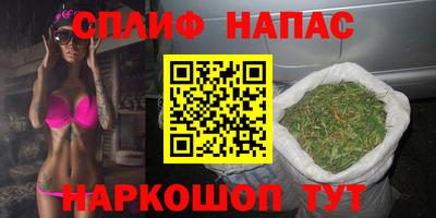 гашик Славянск-на-Кубани