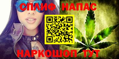 гашик Славянск-на-Кубани