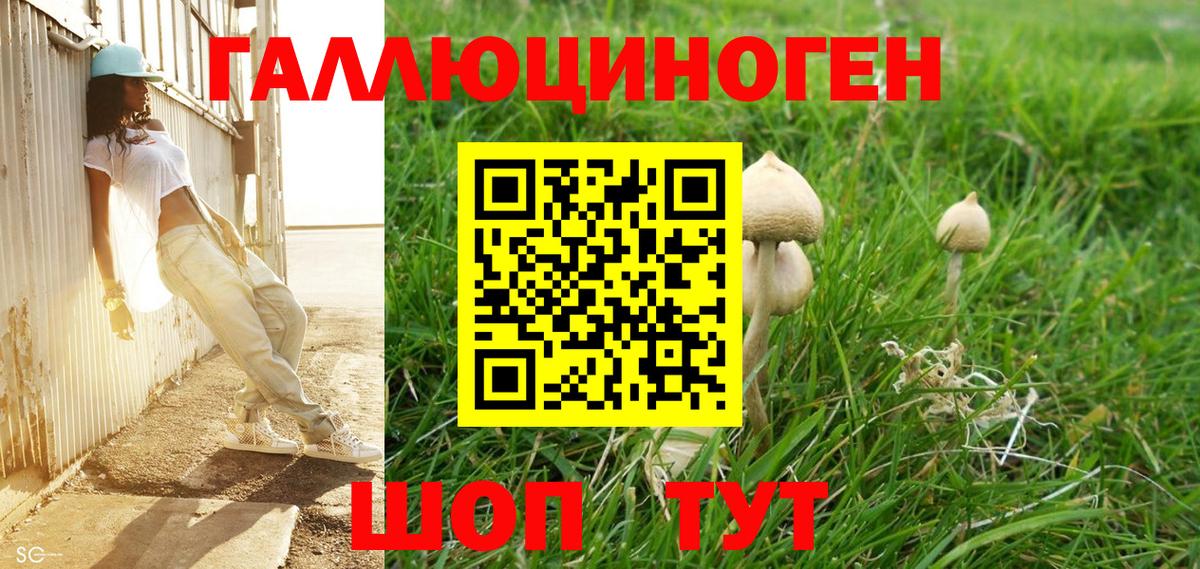 Псилоцибиновые грибы Cubensis  Псилоцибиновые грибы GOLDEN TEACHER  Вход с VPN  Севастополь 